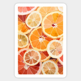 Citrus Magnet